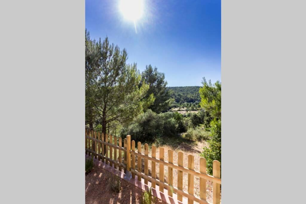 L'arbre à Soleil Aigues-Vives (Herault)