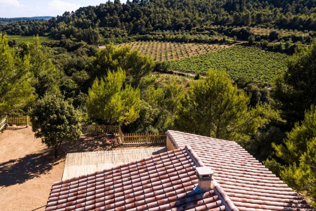 L'arbre à Soleil Hébergement de vacances *