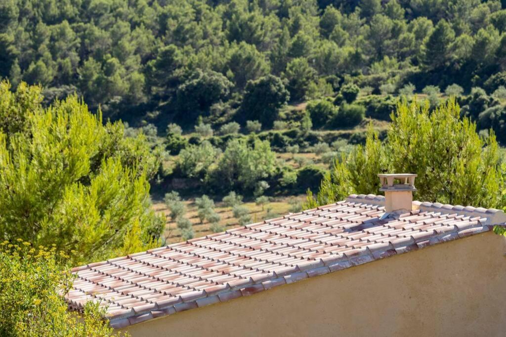 L'arbre à Soleil Hébergement de vacances