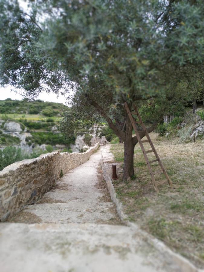 Hébergement de vacances L'arbre à Soleil *